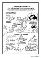 anteprima - Schede informative - Infografiche ominidi - Neanderthal - Pagina 2