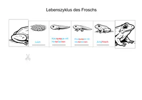 Vorschau - Arbeitsblätter - Lebenszyklus des Froschs Faltheft - Deckblatt