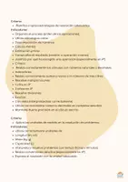 Vista previa - Hojas de trabajo - Resolución de problemas 3º y 4º de primaria - página 3