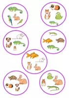Vorschau - Spiele - Doppelgänger pets/Haustiere - Seite 2
