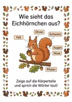 Vorschau - Arbeitsblätter - Alles rund um das Eichhörnchen – Wissens- & Mitmachheft (Kindergarten – 1. Klasse) - Seite 1