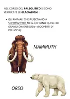 anteprima - Materiale di supporto/inclusione - LE GLACIAZIONI - Pagina 1