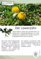 Vorschau - Arbeitsblätter - Löwenzahn / Frühblüher / Wiese / Blumen / Sommer / KITA / GS - Seite 1