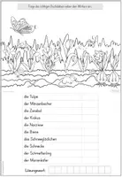 Vorschau - Arbeitsblätter - Frühblüher | Wiese | lesen - Seite 2