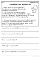 Vorschau - Arbeitsblätter - Das Eichhörnchen - Sachtexte für Erstleser | Leseverständnis Klasse 1 & 2 - Seite 1