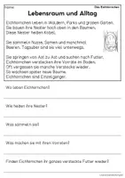 Vorschau - Arbeitsblätter - Das Eichhörnchen - Sachtexte für Erstleser | Leseverständnis Klasse 1 & 2 - Seite 2