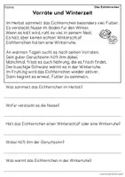 Vorschau - Arbeitsblätter - Das Eichhörnchen - Sachtexte für Erstleser | Leseverständnis Klasse 1 & 2 - Seite 3
