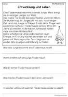 Vorschau - Arbeitsblätter - Die Fledermaus - Sachtexte für Erstleser, Leseverständnis Klasse 1 & 2 - Seite 3
