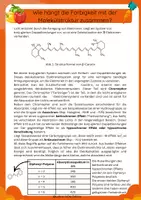Vorschau - Arbeitsblätter - Zusammenhang von Farbigkeit und Molekülstruktur mit Experiment - Seite 2