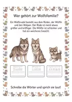 Vorschau - Arbeitsblätter - Alles rund um den Wolf – Wissens‑ & Mitmachheft (Kindergarten – 1. Klasse) - Seite 2