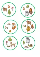 Vorschau - Spiele - Doppelgänger Wald - Seite 3