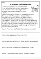 Vorschau - Arbeitsblätter - Der Schneeleopard - Sachtexte für Erstleser | Leseverständnis Klasse 1 & 2 - Seite 1