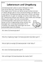 Vorschau - Arbeitsblätter - Der Schneeleopard - Sachtexte für Erstleser | Leseverständnis Klasse 1 & 2 - Seite 2