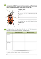 Vorschau - Arbeitsblätter - Tiere bestimmen - ein erster Versuch (Arbeitsblatt) - Seite 2