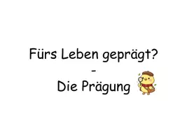 Vorschau - Stundenentwürfe - Prägung (Verhaltensbiologie) einfach erklärt - Interaktive Unterrichtsstunde | Arbeitsblatt mit Lösungen, Video & Mindmap (Sek I, Kl. 8 - 10) - Seite 3