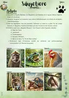 Vorschau - Unterrichtsreihen - Die Säugetiere: „Säugetiere verstehen – Merkmale erkennen und anwenden“ (5. & 6. Klasse | Nawi | Biologie) - Seite 2