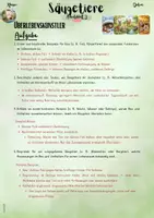 Vorschau - Unterrichtsreihen - Die Säugetiere: „Überlebenskünstler – Anpassung von Säugetieren verstehen“ (5. & 6. Klasse | Nawi | Biologie) - Seite 3