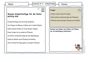Vorschau - Arbeitsblätter - Schmetterlinge Klasse 3 | Differenzierte Lesetexte mit Metamorphose, Bestäubung & AFB I–III (mit Lösungen) - Seite 3