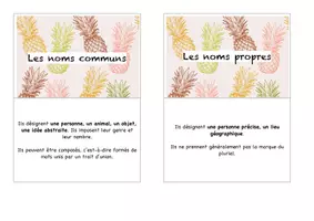 Aperçu - Fiches - Flashcards – Les déterminants - spécial CRPE - Page 1