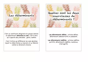 Aperçu - Fiches - Flashcards – Les déterminants - spécial CRPE - Page 2