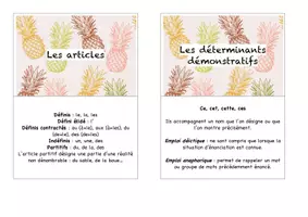 Aperçu - Fiches - Flashcards – Les déterminants - spécial CRPE - Page 3