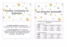 Aperçu - Fiches - Flashcards – Les pronoms - Spécial CRPE - Page 2