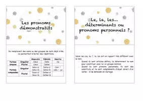 Aperçu - Fiches - Flashcards – Les pronoms - Spécial CRPE - Page 3