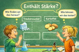 Vorschau - Arbeitsblätter - Kohlenhydrate entdecken - Der Stärkenachweis - Seite 3