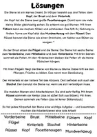 Vorschau - Arbeitsblätter - Die Biene – Körperbau | Lückentext & Abbildung - Seite 3