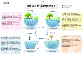 Vorschau - Arbeitsblätter - Der See im Jahresverlauf - Seite 2