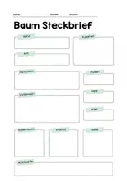 Vorschau - Arbeitsblätter - Steckbrief über Bäume (Kl. 3/4) - Seite 1