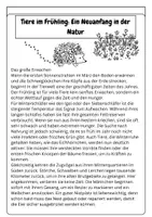Vorschau - Arbeitsblätter - Frühlingserwachen Tiere Biologie Klasse 5/6 - Seite 1