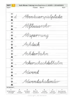 Vorschau - Arbeitsblätter - Schreibschrifttraining in Schulausgangsschrift - schwierige Wörter - Seite 2