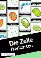 Vorschau - Bildkarten - Die Zelle - Tafelkarten - Deckblatt