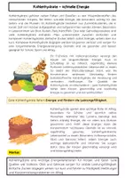 Vorschau - Arbeitsblätter - Kohlenhydrate – Ernährung und Energie - Seite 1