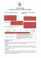 Vorschau - Stundenentwürfe - Symmetire Einheit - Schrfitliche Unterrichtsvorbereitung - Seite 2