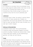 Vorschau - Arbeitsblätter - Sachtext Clownfisch, Leseverständnis, differenziert mit Fragen & Steckbrief, Deutsch Klasse 3 & 4 - Seite 2