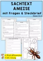 Vorschau - Arbeitsblätter - Sachtext Ameise, Leseverständnis, differenziert mit Fragen & Steckbrief, Deutsch Klasse 3 & 4 - Deckblatt