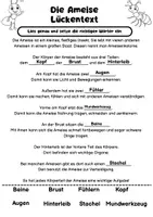 Vorschau - Arbeitsblätter - Körperbau der Ameise – Arbeitsblätter | Grundschule - Seite 3