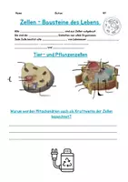 Vorschau - Arbeitsblätter - Zellen - Bausteine des Lebens - Deckblatt