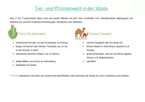 Vorschau - Stundenentwürfe - Pflanzen und Tiere in der Wüste - Seite 2