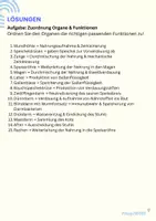 Vorschau - Arbeitsblätter - Arbeitsblatt: Zuordnung Verdauungsorgane, inkl. Lösung - Seite 1