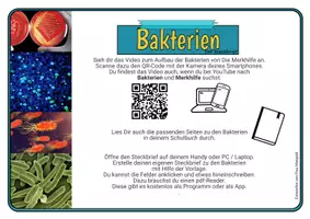 Vorschau - Arbeitsblätter - Bakterien - digitales Arbeitsblatt - Seite 2