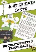 Vorschau - Arbeitsblätter - Aufbau einer Blüte Arbeitsblatt Klasse 5–7 – Blütenaufbau einfach erklärt (Biologie, mit Lösungen) - Deckblatt