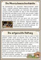 Vorschau - Merkblätter - Haustiere: Das Meerschweinchen (Infokartei & Fotosammlung) - Seite 3
