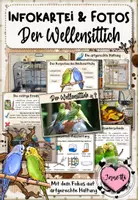 Vorschau - Merkblätter - Haustiere: Der Wellensittich (Infokartei & Fotosammlung) - Deckblatt