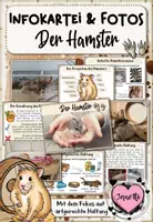 Vorschau - Merkblätter - Haustiere: Der Hamster (Infokartei & Fotosammlung) - Deckblatt