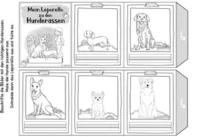 Vorschau - Arbeitsblätter - Haustiere: Der Hund (Bundle aus Miniheft & Kartei) - Seite 3