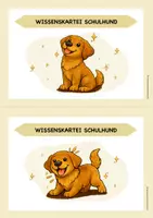 Vorschau - Arbeitsblätter - Schulhund_Wissenskartei - Seite 3
