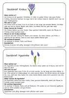 Vorschau - Poster - Wissenskartei Frühblüher - 9 Steckbriefe - Seite 1